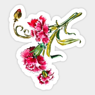 carnations flowers Sticker